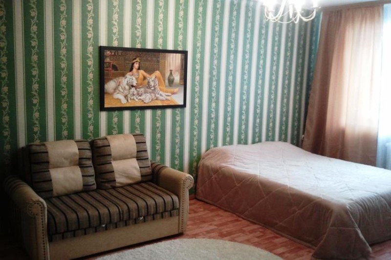 1-комнатная квартира, Партизанский пр. 56